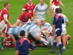 20091121 Rugby, Wales vs Argentina Millennium Stadium, Cardiff